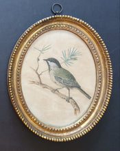 Load image into Gallery viewer, Johann-Christian-Jacob Friedrich Pair Of 18th.Century Natural History Watercolour Studies Of Birds 1775