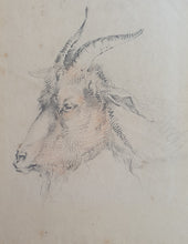 Load image into Gallery viewer, James Ward R.A. Red And Black Crayon Study Of Goats Circa.1800