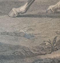 Load image into Gallery viewer, His Royal Highness George Prince Of Wales Large Equestrian Portrait Copper Engraving 1755