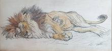 Load image into Gallery viewer, Ernest Griset 19th.Century Watercolour Study Of A Sleeping Nubian Lion Circa.1880