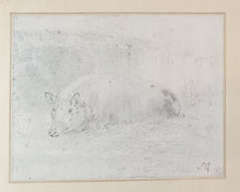 Load image into Gallery viewer, Sawrey Gilpin R.A. Study Of A Pig