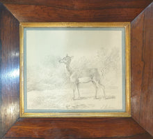 Load image into Gallery viewer, Sawrey Gilpin R.A. Study Of A Deer 1803