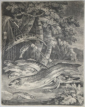Load image into Gallery viewer, Robert Robinson Mezzotint Engraving Still Life With Fish Circa.1680