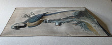 Load image into Gallery viewer, Isaac Spackman 18th.Century Basso Relievo Watercolour Painting Of A Blue And Yellow Macaw Ca.1765