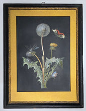 Load image into Gallery viewer, Follower Of Barbara Regina Dietzsch Botanical Study Of A Dandelion With Insects