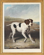 Load image into Gallery viewer, Charles Turner Large Colour Printed Mezzotint Engraving "Shot" A Pointer 1831