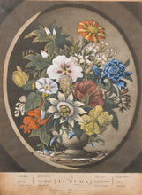 Load image into Gallery viewer, The Four Seasons Depicted In Flowers Hand Coloured Mezzotint Engravings In Their Original Frames 1798