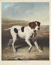 Load image into Gallery viewer, Charles Turner Large Colour Printed Mezzotint Engraving "Shot" A Pointer 1831