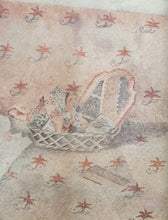 Load image into Gallery viewer, Maria Gunning Countess of Coventry