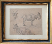 Load image into Gallery viewer, Jacob Van Der Does Dutch 17th.Century Study Of Goats