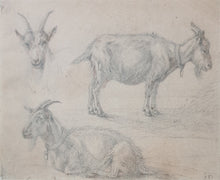 Load image into Gallery viewer, Jacob Van Der Does Dutch 17th.Century Study Of Goats