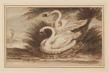 Load image into Gallery viewer, Sawrey Gilpin R.A. Study Of Swans 18th.Century Watercolour Drawing