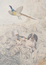 Load image into Gallery viewer, Henry Thomas Alken Pencil And Watercolour Drawing A Sportsman With His Dogs Circa.1820