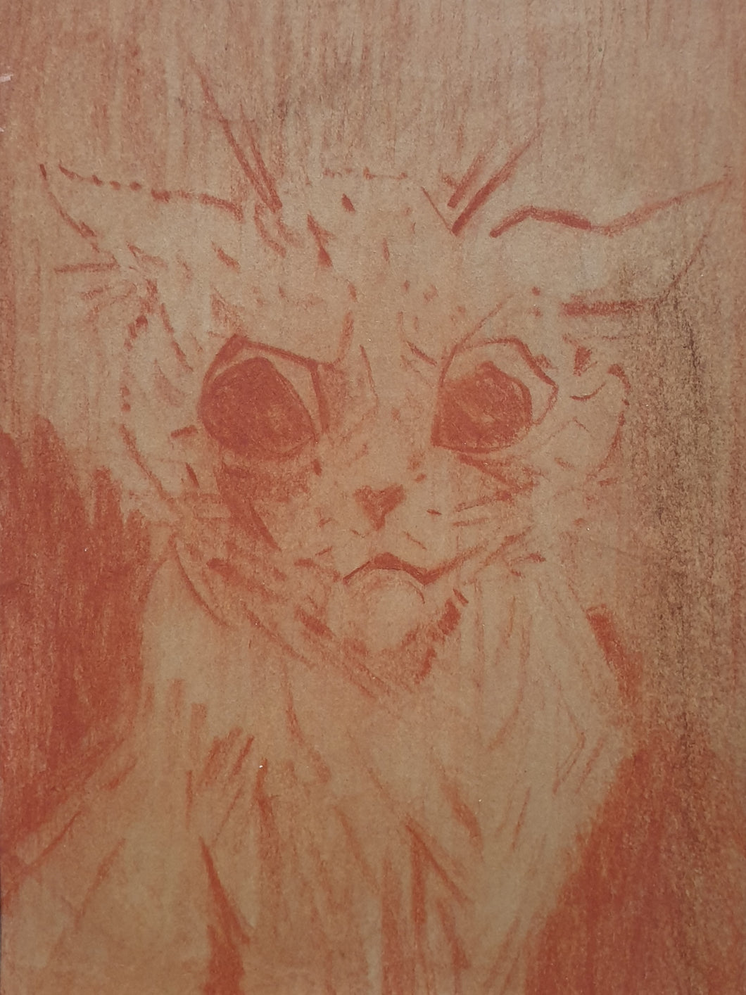 Louis Wain Portrait Of A Scowling Cat