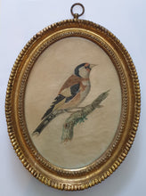 Load image into Gallery viewer, Johann-Christian-Jacob Friedrich Pair Of 18th.Century Natural History Watercolour Studies Of Birds 1775
