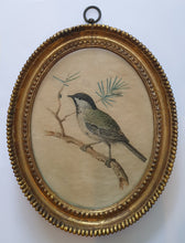 Load image into Gallery viewer, Johann-Christian-Jacob Friedrich Pair Of 18th.Century Natural History Watercolour Studies Of Birds 1775
