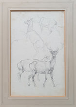 Load image into Gallery viewer, Robert Hills Pencil Studies Of Deer Circa.1820
