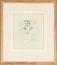 Load image into Gallery viewer, William Huggins Chalk Study Of A Cat Circa.1860
