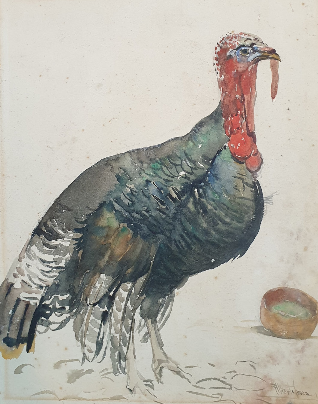 Alberto De Sousa Watercolour Study Of A Turkey 1944