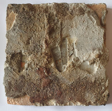 Load image into Gallery viewer, 17th.Century Dutch Polychrome Delftware Tulip Heart Tile Circa.1640
