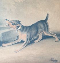 Load image into Gallery viewer, Samuel Howitt 18th.Century Watercolour Drawing Of Dogs Circa.1790
