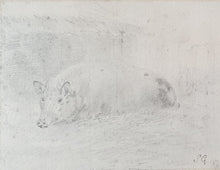 Load image into Gallery viewer, Sawrey Gilpin R.A. Study Of A Pig
