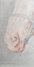 Load image into Gallery viewer, Carle Vernet Large Chalk Study Of A Horse's Head Circa.1800
