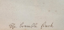 Load image into Gallery viewer, Attributed To George Edwards A Pair Of 18th.Century Watercolour Drawings A Bramble Finch And A Jay
