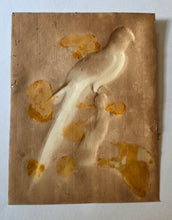 Load image into Gallery viewer, Isaac Spackman 18th.Century Basso Relievo Watercolour Painting Of A Blue And Yellow Macaw Ca.1765
