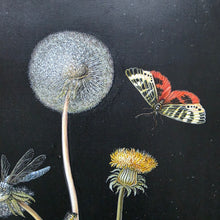 Load image into Gallery viewer, Follower Of Barbara Regina Dietzsch Botanical Study Of A Dandelion With Insects
