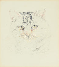 Load image into Gallery viewer, William Huggins Chalk Study Of A Cat Circa.1860

