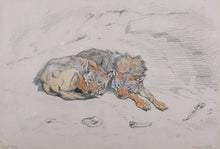 Load image into Gallery viewer, Ernest Henri Griset 19th.Century Pencil And Watercolour Study Of Two Wolves
