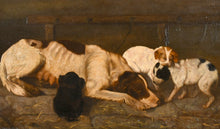 Load image into Gallery viewer, R Law 19th.Century British School Oil Study A Hound And Her Whelps 1872
