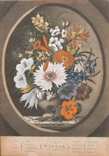 Load image into Gallery viewer, The Four Seasons Depicted In Flowers Hand Coloured Mezzotint Engravings In Their Original Frames 1798
