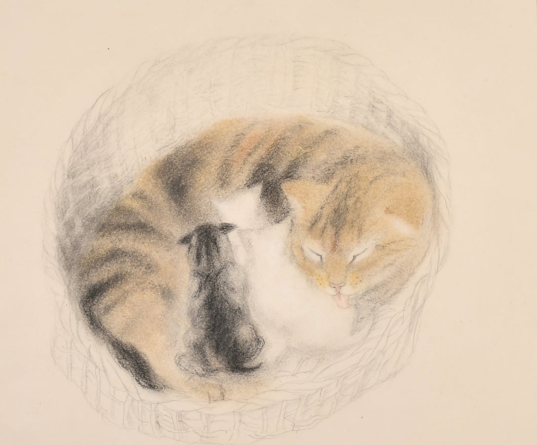 Vere Lucy Temple Watercolour Drawing Matilda And Her Kittens Circa.1935