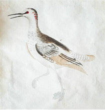 Load image into Gallery viewer, The Black &amp; White Kingfisher 1768
