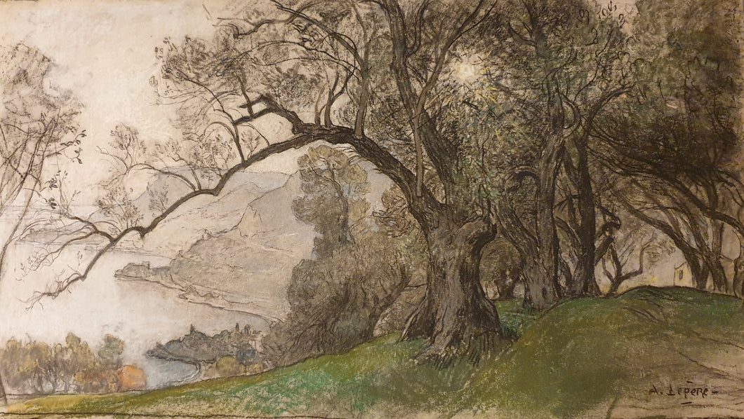 Auguste-Louis Lepère Crayon Drawing La lumière du soléil à travers les arbres