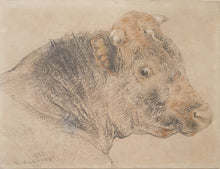 Load image into Gallery viewer, William Huggins Bull
