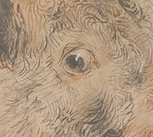 Load image into Gallery viewer, William Huggins Bull

