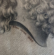 Load image into Gallery viewer, Jupiter Dodonæus 19th.Century Neoclassical Drawing

