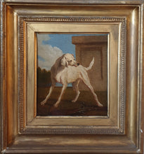 Load image into Gallery viewer, Chien Blanc Du Roi 18th.Century French School Oil On Panel
