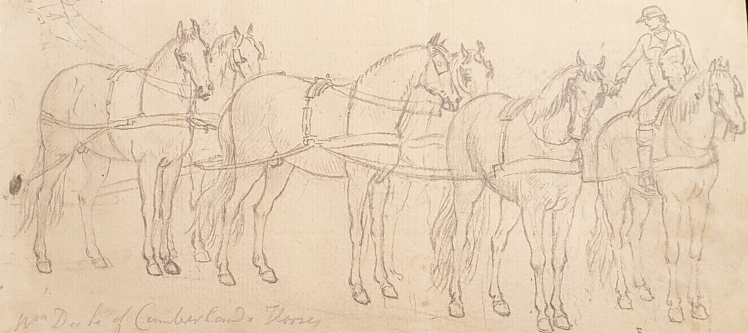 Paul Sandby R.A. Drawing William Duke Of Cumberland's Horses