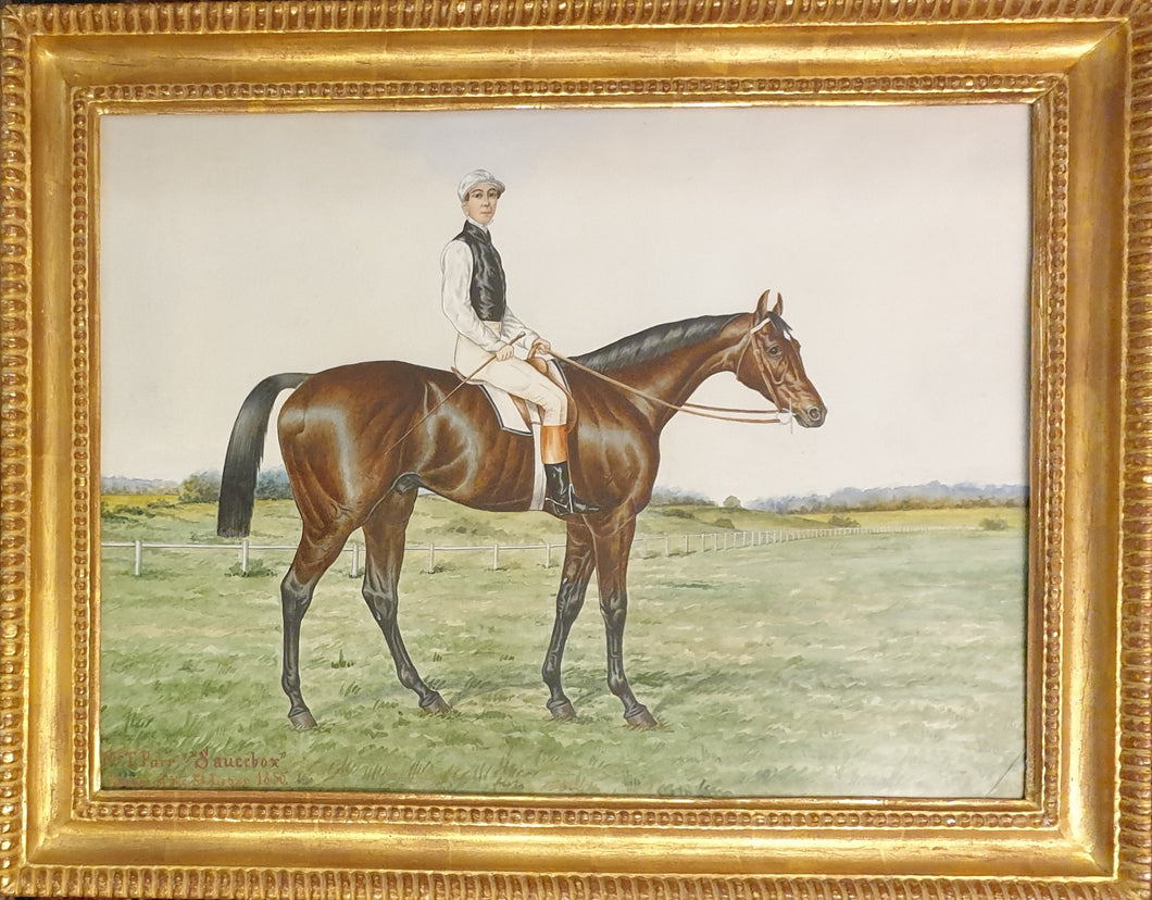 Saucebox 1855 Winner Of The St.Leger Watercolour