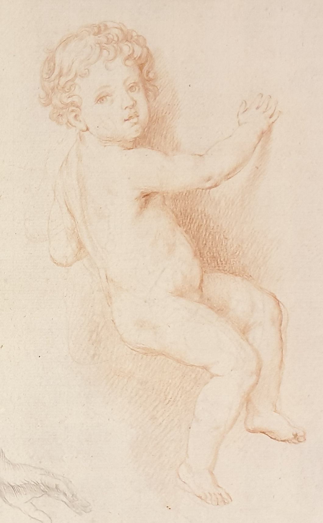 Roman School Late 17th.Century Red Chalk Study Of A Boy