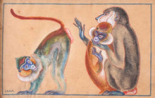 Load image into Gallery viewer, Jacques Lehman Nam Watercolour Study Of Mandrills Circa.1930
