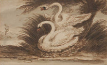 Load image into Gallery viewer, Sawrey Gilpin R.A. Study Of Swans 18th.Century Watercolour Drawing
