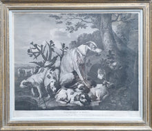 Load image into Gallery viewer, Portraits Of Dogs Large Copper Engraving By Lerpiniere After Fyt
