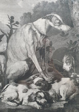 Load image into Gallery viewer, Portraits Of Dogs Large Copper Engraving By Lerpiniere After Fyt
