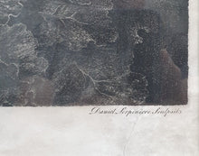 Load image into Gallery viewer, Portraits Of Dogs Large Copper Engraving By Lerpiniere After Fyt
