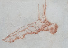 Load image into Gallery viewer, 18th.Century Red Chalk Anatomical Drawing Study Of A Skeletal Foot
